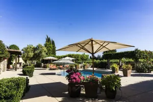 Image of Vineyard Poolside King Studio with Private Entrance