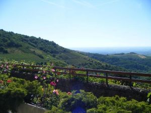 Image of Domaine des Sentiers du Rosier
