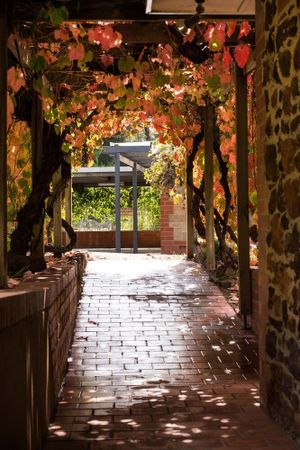 Image of Historic home in top central Barossa location