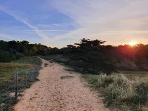 Image of Apartment 4\/6 people Saint Georges d'Oleron \/ Quiet, direct access to the sea