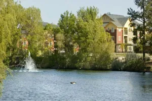 Image of Idlewild Park condo by downtown + Pool & Parking