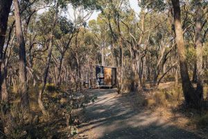 Image of Treetops Farmstay 1 by Tiny Away