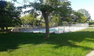 Image of Villa with swimming pool - 10 people - Aléria - Haute corse