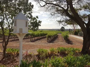 Image of Boutique accommodation peacefully set amongst you're own private vineyard
