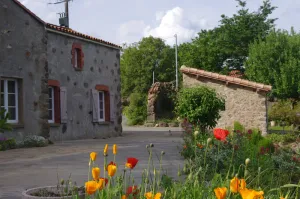 Image of Gîte bocage Vendéen: 15 km from the Grand Parc Puy du Fou in the heart of nature.