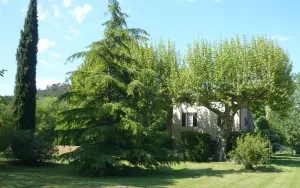 Image of Le gite petit-conil