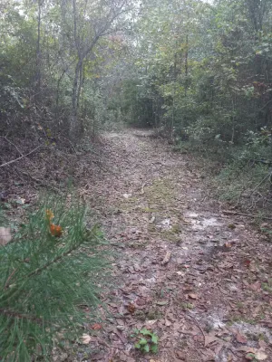 Image of Private Nature Oriented Campground