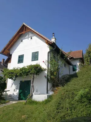 Image of Jewel in the vineyard overlooking Pannonian lowlands 6 people