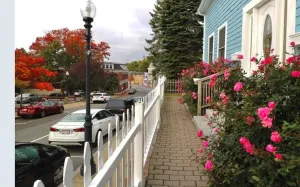 Image of Single Level Home - Steps to Downtown Gloucester & A\/C throughout
