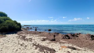 Image of Bussell Hideaway Haven