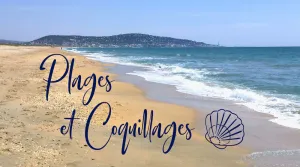 Image of Plages et coquillages 70m2 vue mer