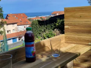 Image of F3 apartment, exotic garden, walking distance to beach, 3-star rating