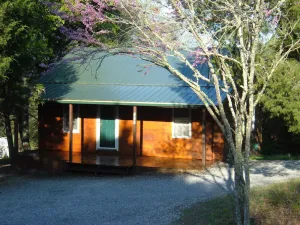 Image of CEDAR CREST CABIN NEAR DOUGLAS LAKE. 30 MILES AWAY FROM GATLIN BURG.