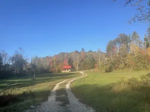 Image of The Stillhouse Cabin, mins from Red River Gorge