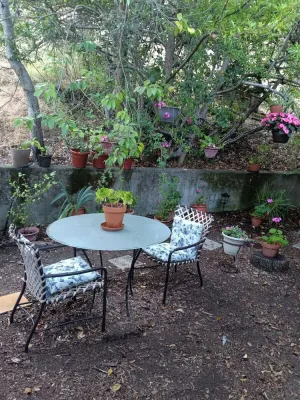 Image of Pet Friendly San Anselmo Property in the hills w\/hiking, biking and relaxation