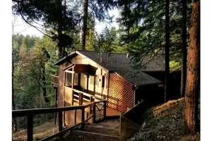 Image of Cedar Pines Cabin w\/ Fire Pit & Large Deck - BIG Trees - A Quaint Rustic Charmer