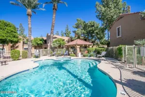 Image of Cadillac Cactus Condo!