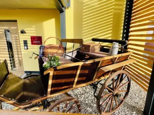 Image of Chalet vacation apartment \"Ährenglück\", 70 sqm & wellness\/fitness\/sauna - Bergrödelhof
