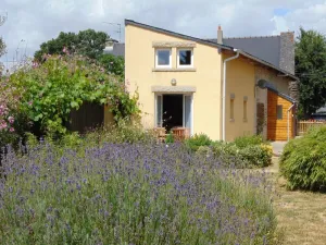Image of A wonderful and quiet 4 bed characterful house, lovely garden, yet near to amenities, canal etc.