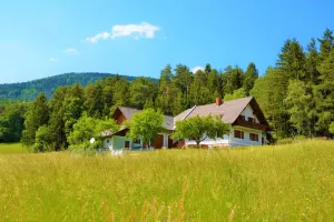 Image of TIME OUT at the edge of the forest, peace and enjoyment of nature, A1 media box \/ TV Plus, garden \/ pets