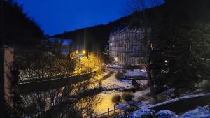 Image of St Nectaire: Balneo apartment with large standing terrace