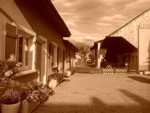 Image of Charming cottage at the DE LA TORRE farm