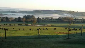 Image of Farm Stay Holiday Accommodation Inverloch South Gippsland Dog Friendly