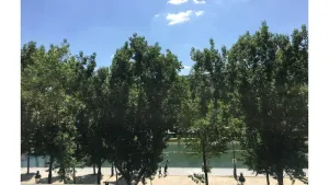 Image of Paris, bel Appartement Spacieux, au Calme, 90m2