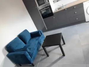 Image of T2 Renovated Lille center