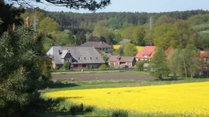 Image of In the quiet valley of the Göhrde