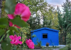 Image of La Petite Maison du Bout du Jardin