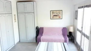 Image of DINARD BEACH MIMOSAS