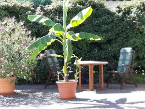 Image of Sattelmair vacation apartment
