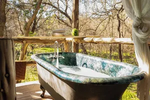 Image of Rustic Retreat: Soaking Tub, Firepit, Porch Swings