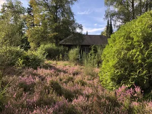 Image of Landhaus mitten in der Lüneburger Heide