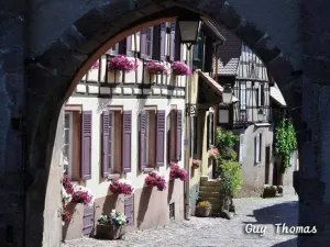 Image of Charming Alsatian Cottage – 18th Century, 3 Bedrooms, Historic Village, Near Vineyards, Parking Included