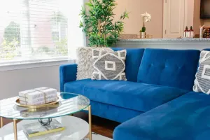 Image of Stunning 2 BDRM Apartment in the Heart Of Norfolk!