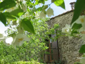 Image of Vrbo Property