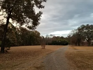 Image of Tony's \"Tranquility\" Close to everything.