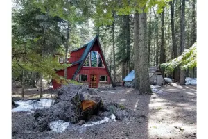 Image of Unplug! Tranquil, Private, Pet-Friendly Rustic Cabin in the Woods
