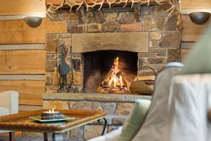 Image of Summer Forest Sanctuary: Adventure & Relaxation Near Lake Lemon