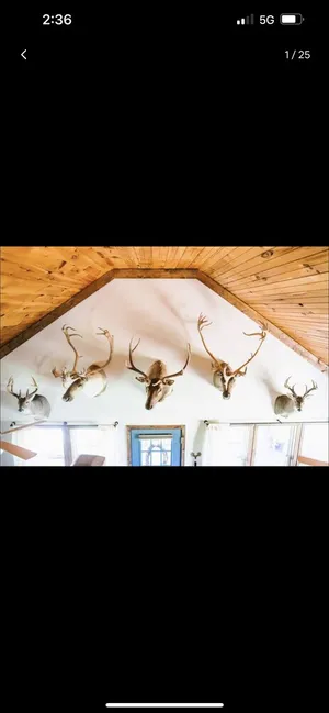 Image of Perfect Cabin 5 minutes to Blanchard Springs Nat. Park