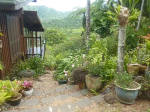 Image of Daintree Holiday Homes - The Folly