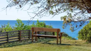 Image of Aqua Beachfront - Pet Friendly - 2 Mins Walk to Beach