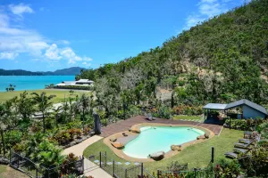 Image of Frangipani 004, Hamilton Island