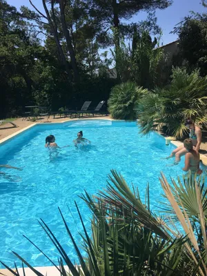 Image of Villa provençale et ses grands pins