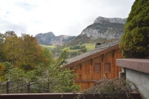 Image of 20m from ski slopes, Ground floor, view mountain, parking, tv, 25m², Le Grand Bornand