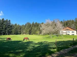 Image of La Ferme des Brosses