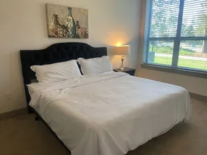 Image of Spacious 2 bed\/ 2 bath Apartment in Spring, TX