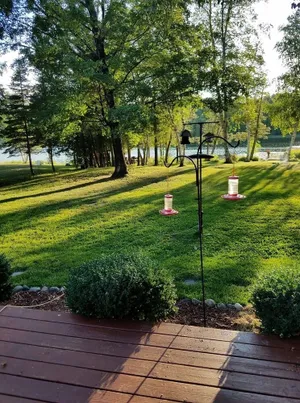 Image of House on Susan Lake, Charlevoix, Michigan